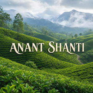 Anant Shanti (Electronic Indian)
