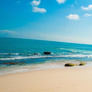 甜了个蜜（翻自 麦小兜）