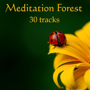 Infinite Wind Mandala