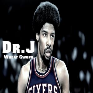Dr J