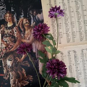 hijo de la luna x golden brown