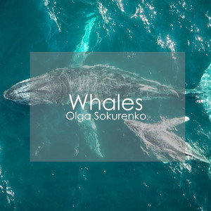 Whales