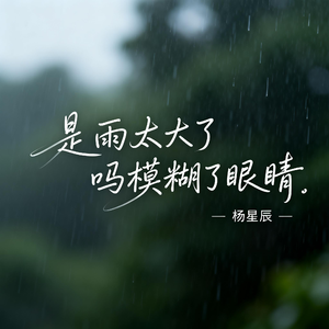 是雨太大了吗模糊了眼睛