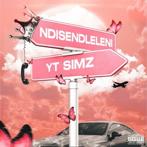 Ndisendleleni