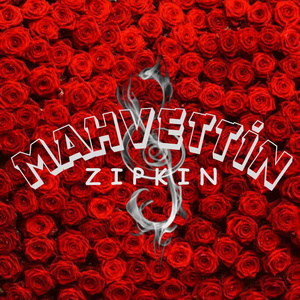 MAHVETTİN
