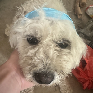 我的温柔刚好抵你半生漂泊