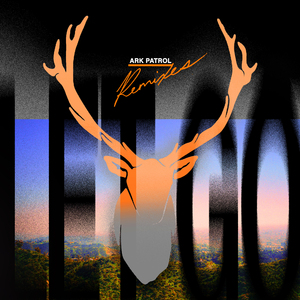 Let Go (Robotaki Remix)