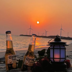 我害了一场想去看海的病