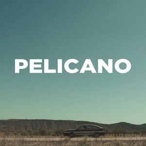 Pelícano