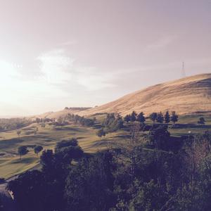 This Is Democracy Manifest