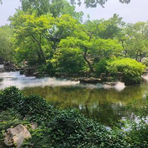 WAV文件_糖云棉花岛_