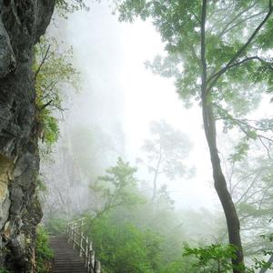 人间痴梦（剑网3：柳静海&唐书雁角色曲）