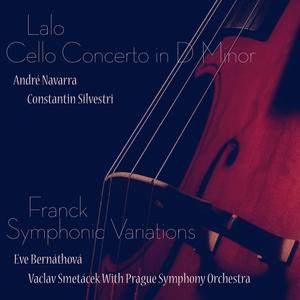 Cello Concerto in D Minor: I. Lento: Allegro Maestoso