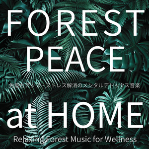 瞑想ソルフェジオ -Healing Forest- (寝落ちのピアノの森 α波→θ波→δ波)