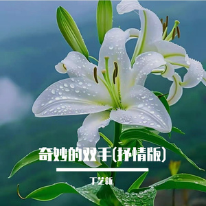 奇妙的双手(抒情版)