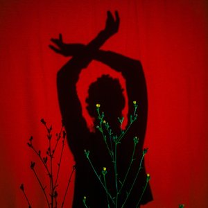 选择后退(rnb氛围版)