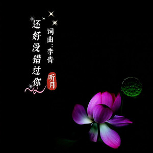 还好没错过你 (DJ默涵版)