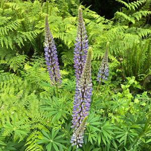 God Sense (feat. baad beats collective)