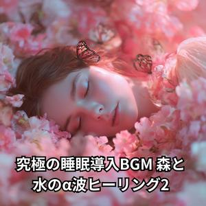 熟睡を誘う森と清らかな水の音楽