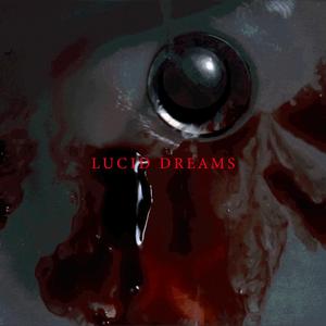 LUCID DREAMS