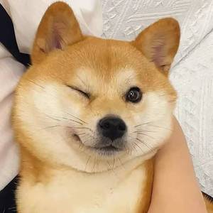溯