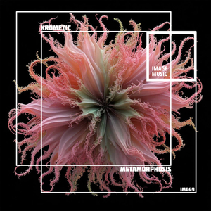 Metamorphosis (Original Mix)