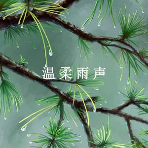 雨声潺潺（白噪音）