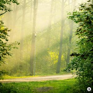 자연 속 비밀의 마을