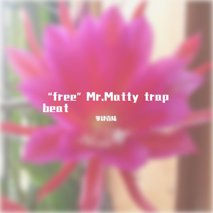 free"Mr.Matty trap beat