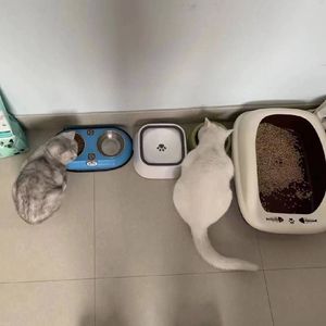 不想再失眠（prod.by Morrow）