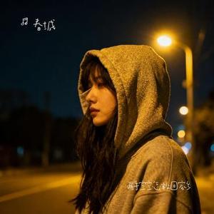 两手空空怎敢回家乡 (春城 Remix)