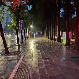 春水清澈鸟自鸣