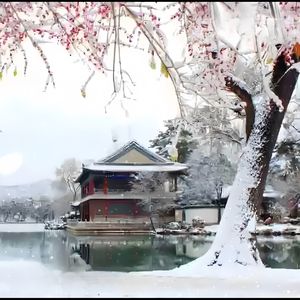 戊戌变法插曲—雪落寺深深