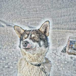 Dashstar* (BlxckLxb Fan Remix)