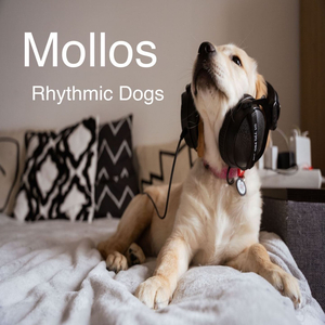 Rhythmic Dogs (Radio Edit)