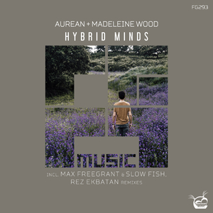 Hybrid Minds (Original Mix)