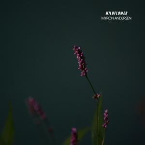 Wildflower