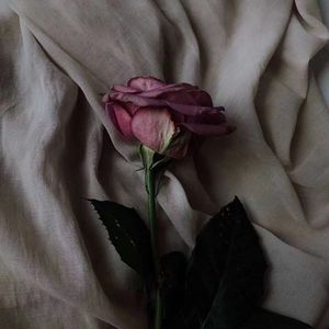 想（Prod by 红叶RaySteven）