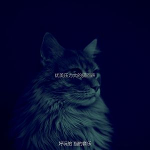 微妙的可爱的猫心情