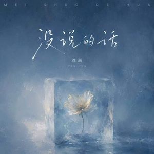 没说的话