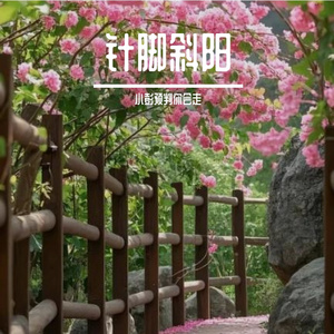 针脚斜阳