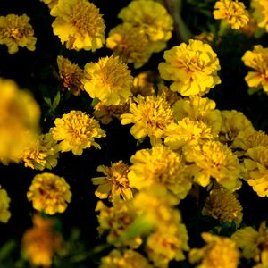 心灵的归宿（放松纯音乐）