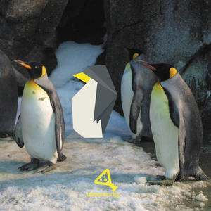 Lost & Found (Original Mix)