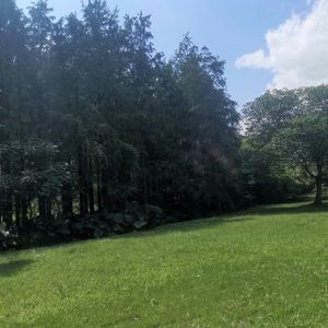 飞奔的风景
