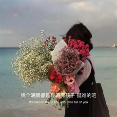 巴西电子 (环绕版)