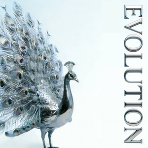 给个机会，让我不要脸