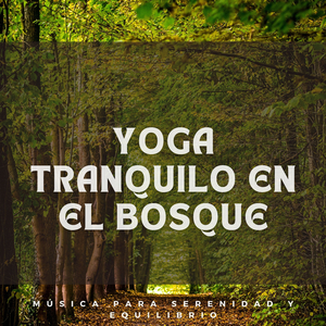 Serenata Del Coro De Grillos