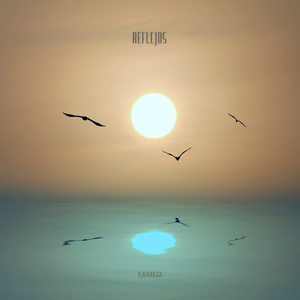 Reflejos