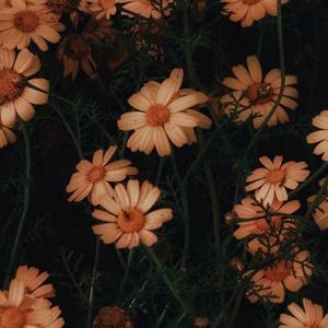 Stay With Me（韩英双声道）（翻自 灿烈）