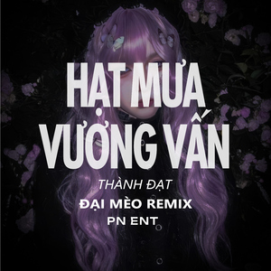 Hạt Mưa Vương Vấn (Đại Mèo Remix)
